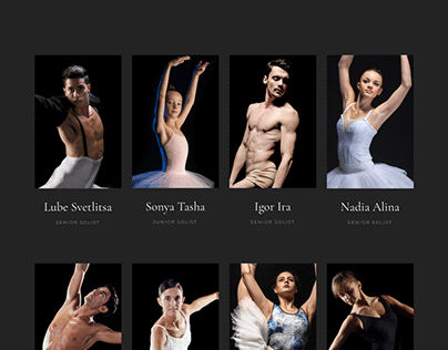 Ballet dancer team