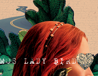 Somos Lady Bird / Fanart Film