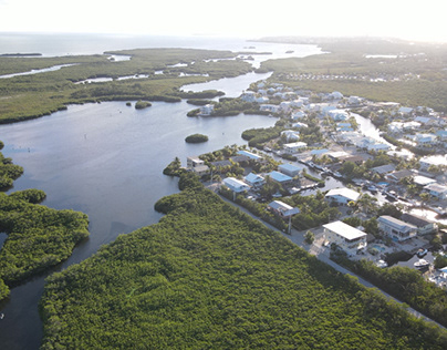 tropical winter, florida keys, ocean, mangrove