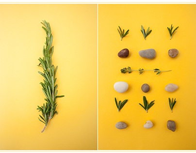 Spices & herbs photography