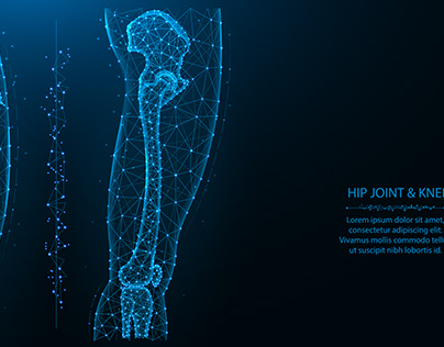 Blue polygonal illustration of hip and knee joint