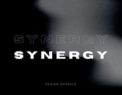 SYNERGY : MENSWEAR COLLECTION