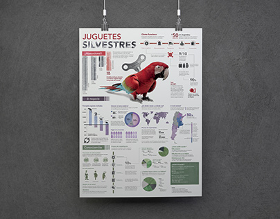 Juguetes Silvestres | Infography