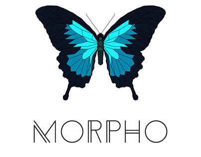 Morpho Logo Brand