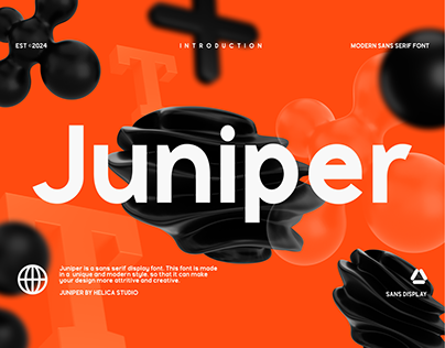 Juniper Modern Sans Display Font