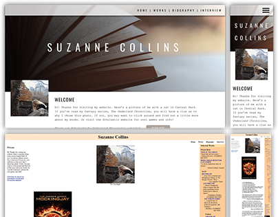 SUZANNE COLLINS LANDING PAGE REDESIGN