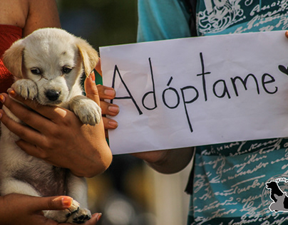 Adopción de animales