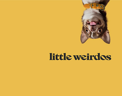 Little Weirdos - Visual Identity
