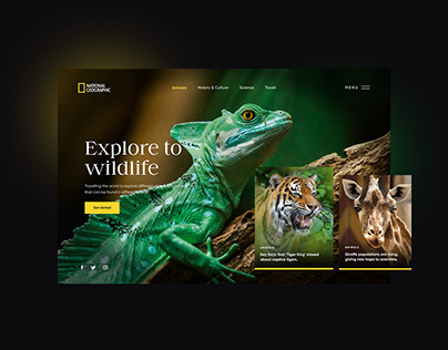 National Geographic - UI Design