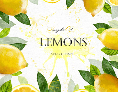 Illustrations of lemons