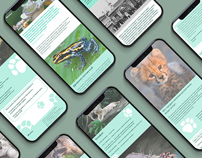 leningrad Zoo website project