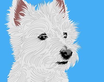 For the love of Westies