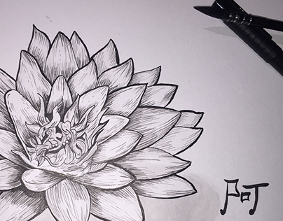 Ink china flowers