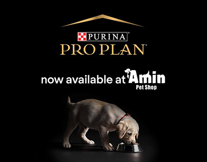 Pro Plan now available