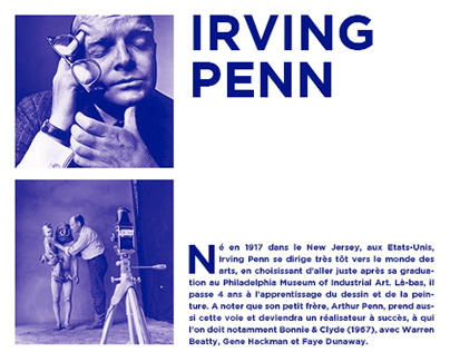 Print - Irving Penn