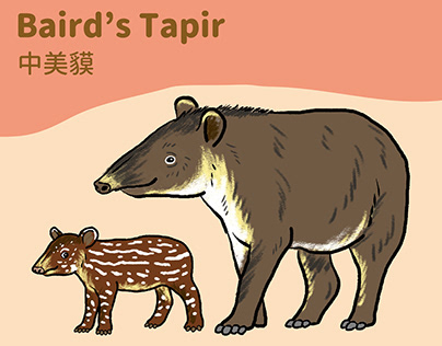 Funny Animal Familly - Tapir