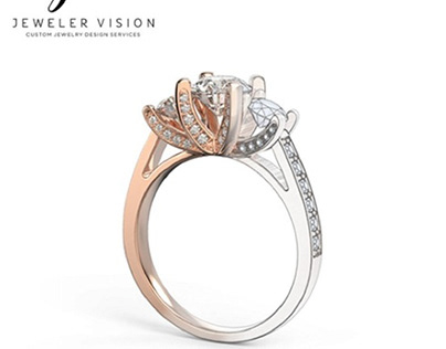 Jeweler Vision
