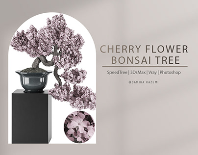 CHERRY FLOWER BONSAI TREE