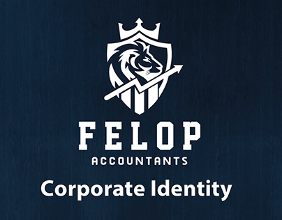 Project thumbnail - Felop Accountant
