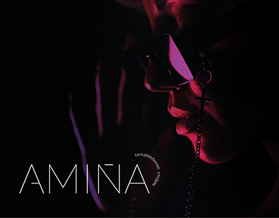 Логобук для студии танцев Amina
