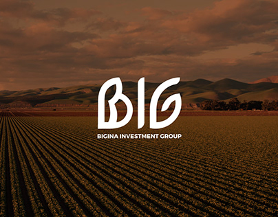 Curating a brand refresh for BIG Investment Group