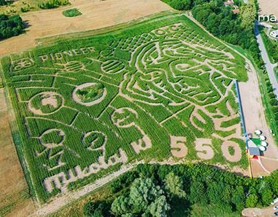 Corn maze design - Nicolaus Copernicus
