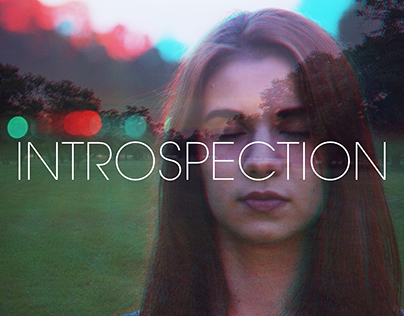 ANAGLYPH INTROSPECTION