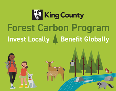 King County Forest Carbon Program Motion Graphic