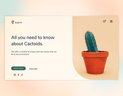 Web UX Design - Cactus Shop Simple