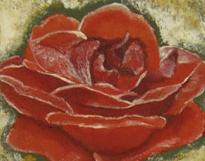 Rose - oil painting