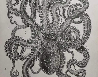 Octopus Drawing Commission