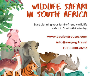 Hidden Gems for Wildlife Safari in South Africa