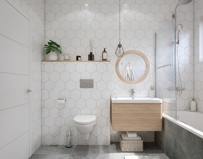 The design of the bathroom and toilet in the Scandinavi