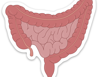 Intestines Sticker