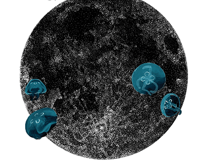 Moon Phases & Moon Jellyfish