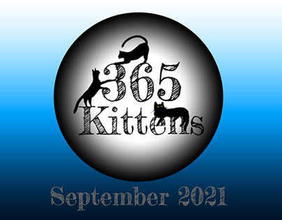September Basket of Kittens