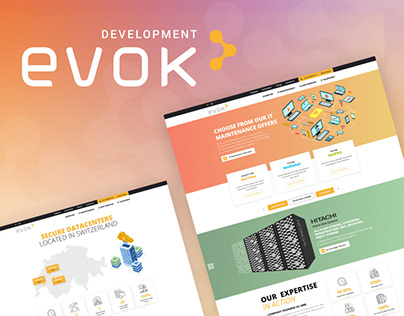 Complex Website Redesign. Evok