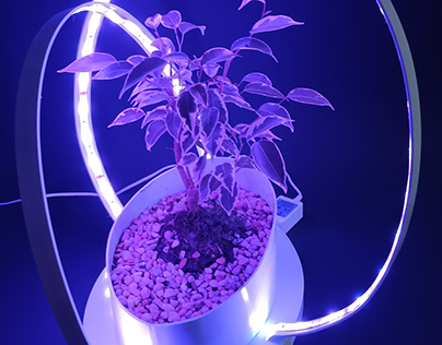 LED Planter Box