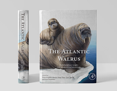 The Atlantic Walrus, book illustrations