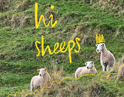 Hi Sheeps!