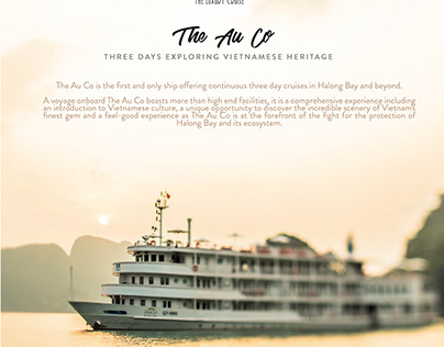 Artwork The AuCo Luxury Cruise for Reisefieber