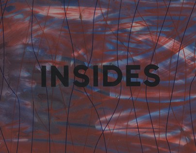 INSIDES