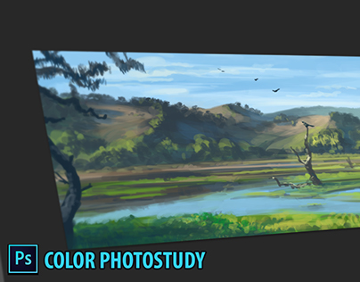 Weekly Digital Painting Challenge: Color Photostudy