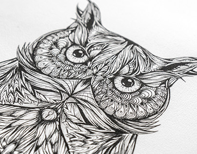 GC Owl
