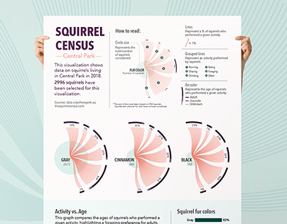 Squirrel Census Infographic