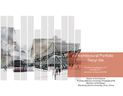 Tianyi Xie Portfolio