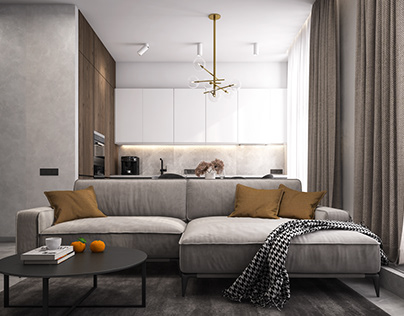 GENEVA APARTMENT for a family from the city of Dnipro