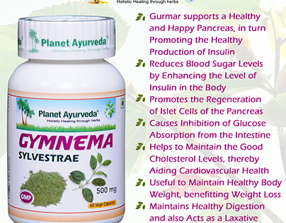 Amazing Benefits of Gymnema Sylvestrae