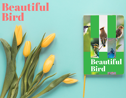 Beautiful Birds collection books design