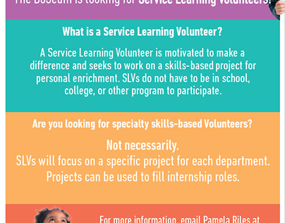 Service Learning Volunteer